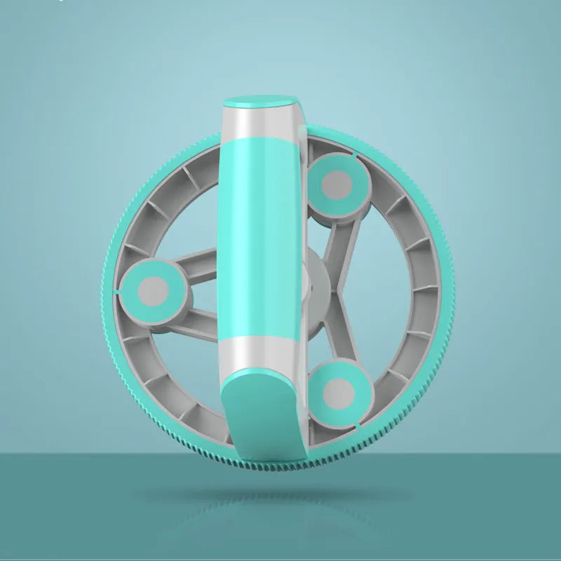 Home Gym Ab Wheel Combo